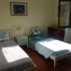 https://comfy-and-bright-apartment.in-sardinia.net